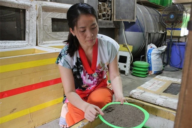 Tại trang trại côn trùng ở Tam Trinh (Hà Nội), tuy diện tích chưa đến 100m2 nhưng lại được chị Xuân nuôi gần 100 thùng dế, và khoảng 1.000 con tắc kè.