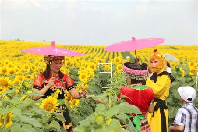 <p><em>Tha hồ hóa trang giữa cánh đồng hướng dương rực rỡ</p>