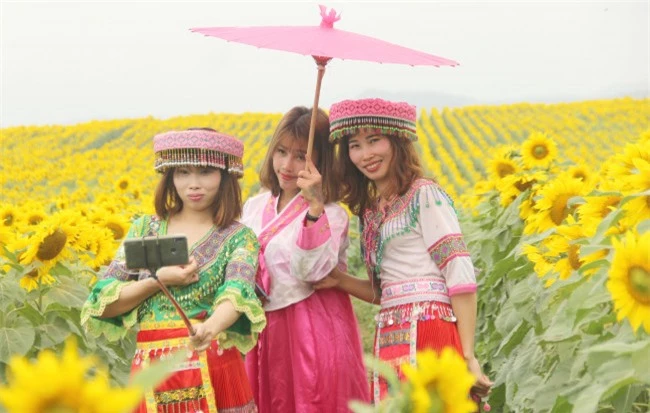 <p><em>Đây là địa điểm lý tưởng để các đôi bạn trẻ tới chụp ảnh cưới, học sinh chụp kỷ yếu.</p>