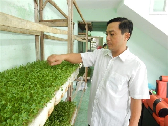 Anh Phương đang giới thiệu về quy trình trồng rau