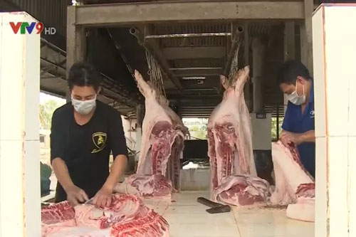 Giá lợn hơi giảm gần 20.000 đồng/kg