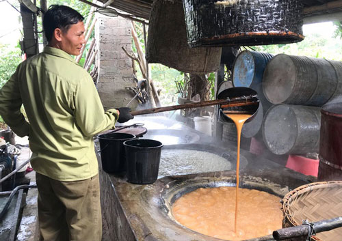 Cả làng "đỏ lửa" nấu mật, mùa Tết thu về gần trăm triệu đồng mỗi hộ