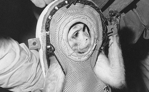 Kỳ thú chuyện khỉ Sam trở về từ vũ trụ làm loạn khu trục hạm của Mỹ