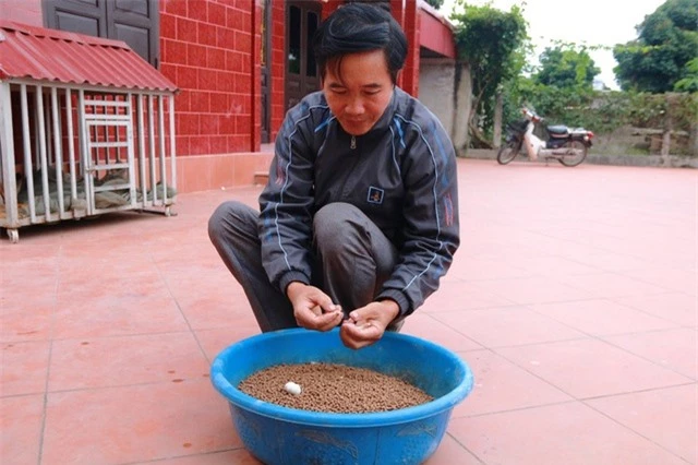 Lão nông thu tiền tỷ mỗi năm từ nuôi ếch bằng thảo dược - 2
Hơn chục năm nay, ông Thăng dùng phương pháp nuôi ếch bằng các loại thảo mộc như tỏi, ớt, cỏ mực... cho thu nhập kinh tế cao.