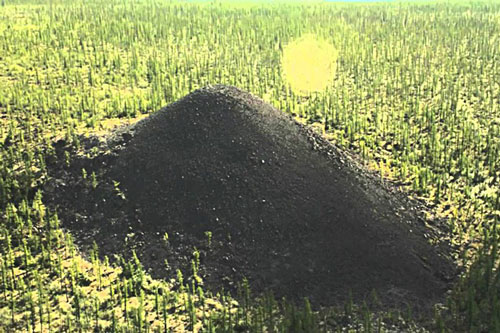 B&#xED; &#x1EA9;n tr&#x103;m n&#x103;m &#x201C;thung l&#x169;ng Ch&#x1EBF;t&#x201D; gieo r&#x1EAF;c b&#x1EC7;nh t&#x1EAD;t kinh ho&#xE0;ng