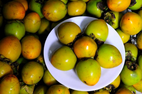 Chỉ cần ngâm vào thứ nước này, hồng không bị chát lại giòn tan, ngọt lịm