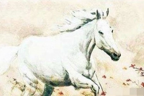 Trong 2 năm tới, 4 con giáp này phát tài phát lộc, vạn sự mỹ mãn, cuộc sống giàu sang không ai sánh bằng