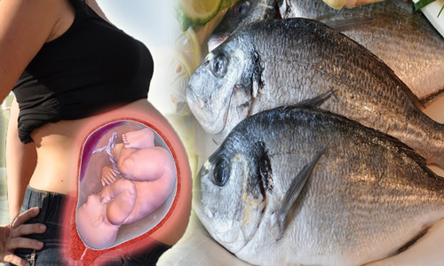 3 loại cá "đại bổ" nhưng với mẹ bầu lại "cực độc", tuyệt đối không được ăn