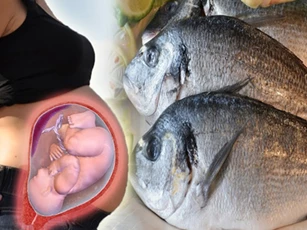 3 loại cá "đại bổ" nhưng với mẹ bầu lại "cực độc", tuyệt đối không được ăn