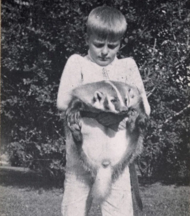 Trong hình chính là Josiah - thú cưng của Archie, con trai cố tổng thống Mỹ Theodore Roosevelt. Điều đặc biệt ở chỗ đây chính là một… con lửng (một loài động vật ăn tạp thuộc họ chồn).