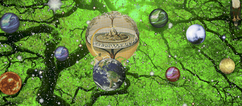 Bí ẩn muôn đời về loài cây linh thiêng chứa 9 thế giới