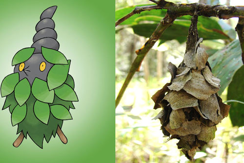 Ngắm những phiên bản động vật hoang dã có thật của Pokemon