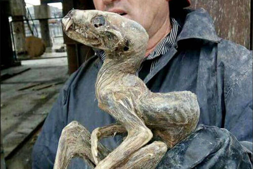 Phát hiện sinh vật kỳ lạ khi khai mỏ kim cương