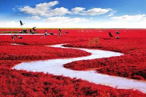 Top 10 chốn bồng lai tiên cảnh trên Trái Đất