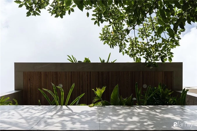 Ngôi nhà phố đẹp tinh tế với bản hòa tấu giữa vật liệu gỗ và ánh sáng ở Quy Nhơn dành cho gia đình 4 người - Ảnh 4.