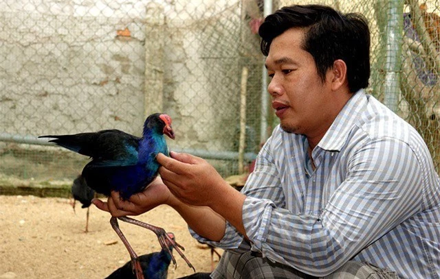 Sau nhiều năm tích lũy kinh nghiệm, anh Bốn đã ấp nở thành công các loài chim quý đang nuôi