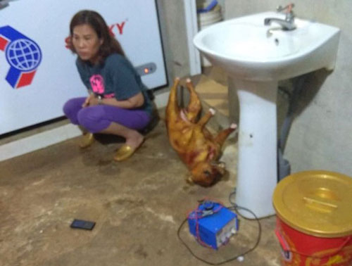 Đắk Nông: Nữ chủ quán cấu kết với “cẩu tặc” tiêu thụ hơn 14 tấn thịt chó