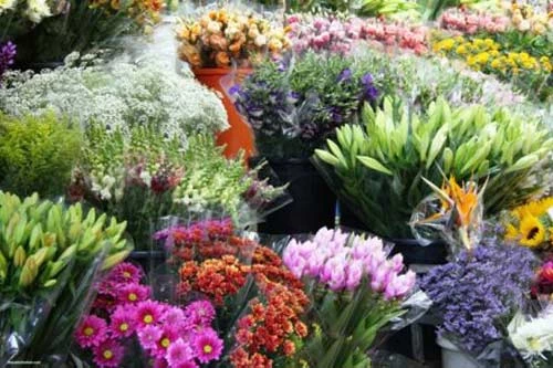 Bạn nên chọn mua hoa còn tươi nguyên để có thể để được lâu, nếu có thể, nên mua cành hoa còn nguyên gốc.