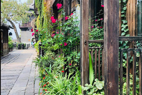 Cú sốc của phó phòng tài chính trước ngày đi nước ngoài làm việc