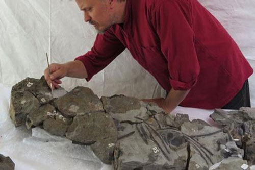 Bằng chứng khẳng định quái vật biển thực sự từng tồn tại