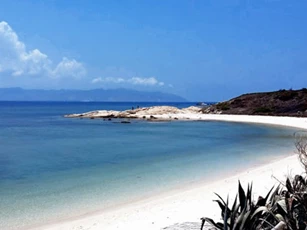 Trải nghiệm cuộc sống hoang dã trên đảo Cù Lao Câu