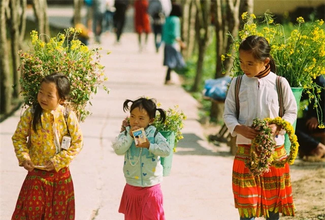 Sắc vàng hoa cải sưởi ấm Hà Giang ngày đông - Ảnh 10.