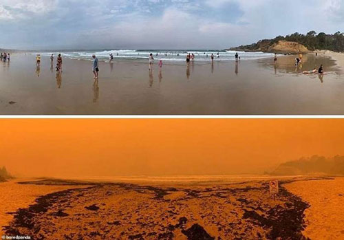 &#xC1;m &#x1EA3;nh c&#x1EA3;nh t&#x1B0;&#x1EE3;ng &#x1EDF; Australia tr&#x1B0;&#x1EDB;c v&#xE0; sau th&#x1EA3;m h&#x1ECD;a ch&#xE1;y r&#x1EEB;ng