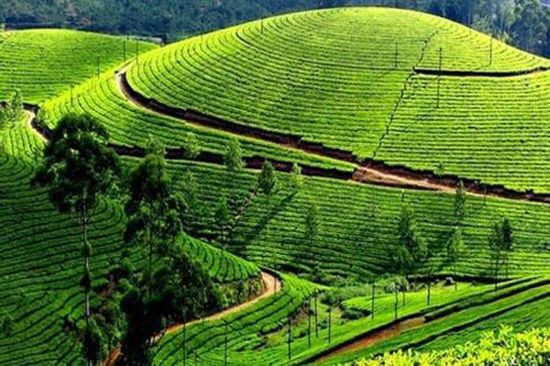 Rốt cuộc, lương tâm con người đáng giá bao nhiêu?