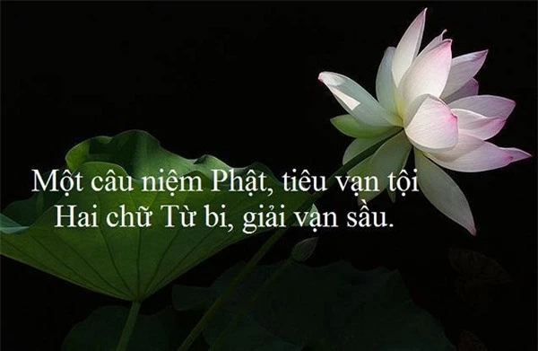 8 câu chuyện nhỏ chứa đựng ý nghĩa lớn giúp bạn thay đổi cách nhìn cuộc sống - Ảnh 2