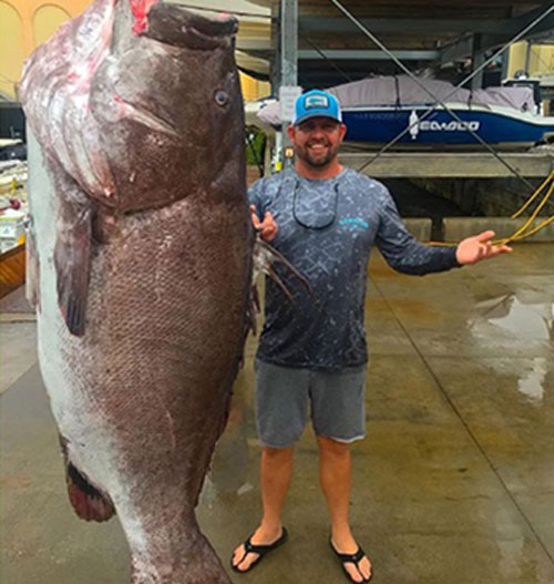 Ngư dân bắt được cá khổng lồ nặng gần 160 kg ở Mỹ