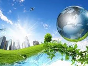 Doanh nghiệp mua túi ni long đóng sản phẩm có phải chịu thuế Bảo Vệ Môi Trường?