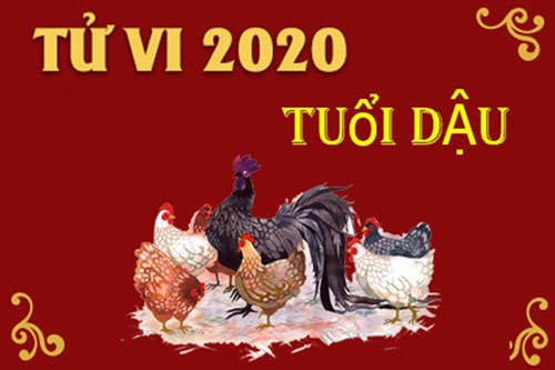 Tử vi tuổi Dậu năm 2020: Sự nghiệp thăng trầm, rủi ro rình rập, cẩn thận 'tiền mất tật mang'