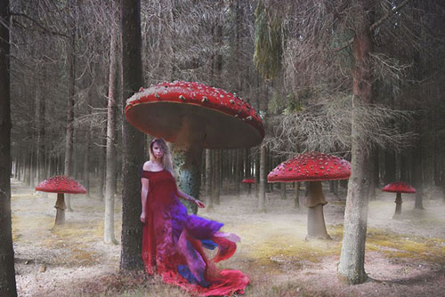 10 bức ảnh đẹp về sự giao hoà giữa con người và thiên nhiên