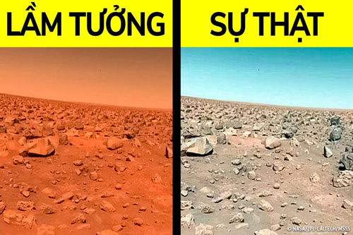 CLIP: Khám phá 9 'sự thật' mà bạn nên ngừng tin