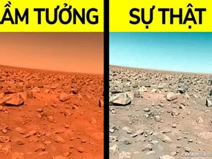 CLIP: Khám phá 9 'sự thật' mà bạn nên ngừng tin