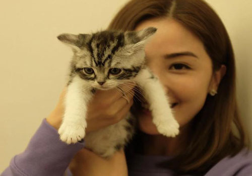 Thái Trác Nghiên lộ ảnh đeo nhẫn lạ giữa tin đồn kết hôn