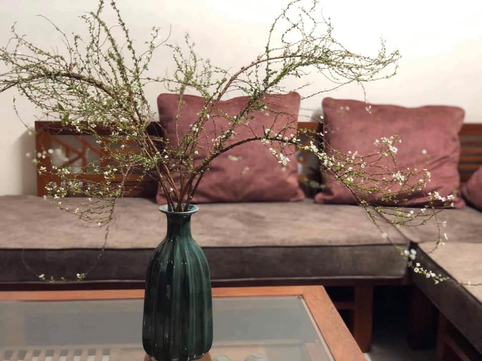 Những loại hoa nhập khẩu gây sốt, chị em đua nhau mua chơi Tết