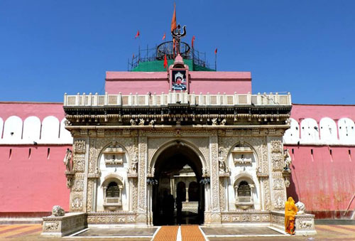 Cảnh tượng "rùng rợn" ở ngôi đền nuôi hàng vạn con chuột