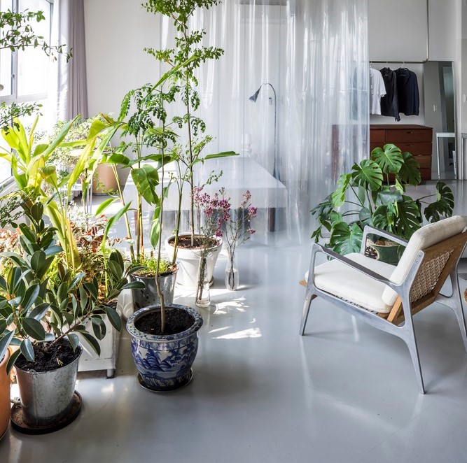 Kỳ lạ căn hộ lộ thiên mọi thứ, trừ toilet giữa Sài Gòn trên báo Mỹ