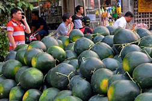 Dưa hấu Tết được mùa, được giá