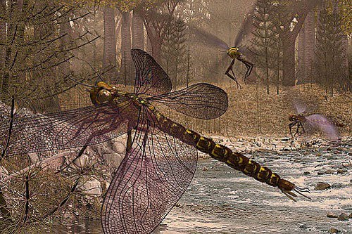 Tận mục loài chuồn chuồn khổng lồ dài 2 mét thời tiền sử