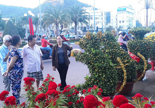 Bình Định: Độc đáo quất bonsai hình chuột, quả chi chít ở chợ Tết