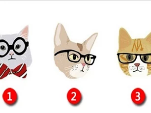 Trắc nghiệm: Bạn yêu theo kiểu nào?