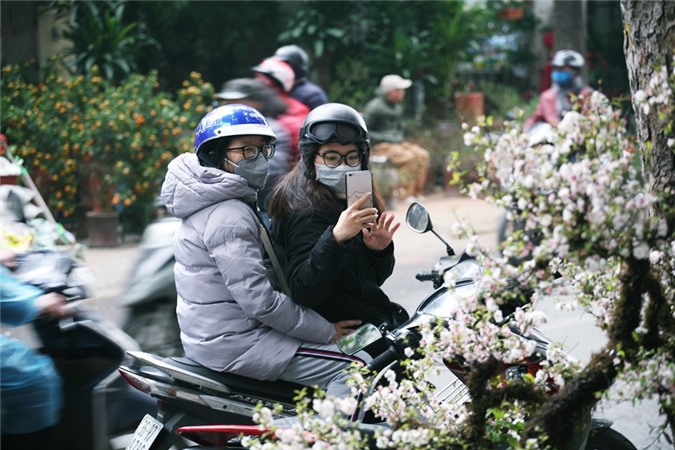 Mai trang boc reu kin than het gia chuc trieu dong/goc o cho hoa Tet Ha Noi-Hinh-12