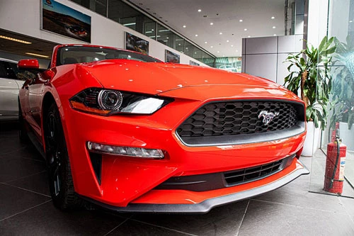 Ford Mustang Convertible 2020 mới là mẫu xe thể thao khá phổ biến ở Việt Nam thời gian gần đây, song những chiếc xe lăn bánh tại nước ta chủ yếu là phiên bản mui cứng Coupe. Do đó, những chiếc Ford Mustang Convertible (mui trần) trở nên độc đáo mỗi khi xuất hiện và số lượng cũng không nhiều do không phải hàng chính hãng.