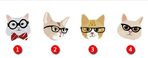 Bạn chọn chú mèo nào?