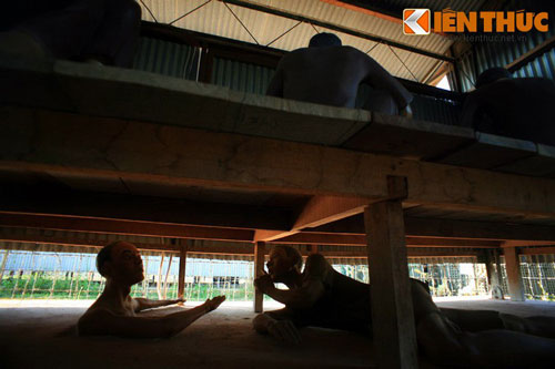 Cuộc vượt ngục thần kỳ của tù nhân Phú Quốc