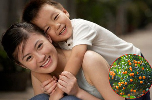 Đi chợ hoa ngày Tết, cậu bé táy máy vặt quất để nghịch, phản ứng của người mẹ khiến ông chủ cây không giận mà quyết định mừng tuổi đứa trẻ