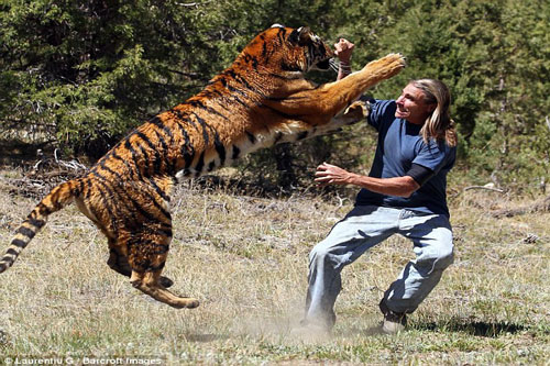 Những tình bạn kỳ lạ giữa con người và loài vật