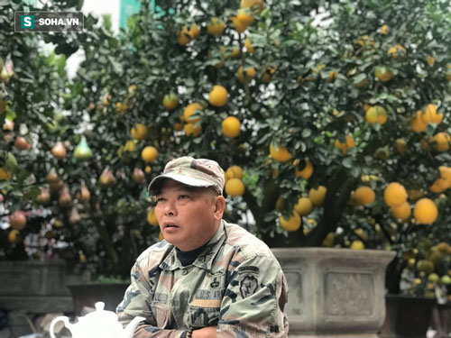 Độc đáo gốc bưởi chua “mọc” 120 quả bưởi Diễn giá 60 triệu đồng